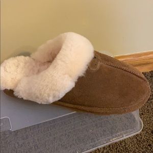 Barely worn bear paw slippers